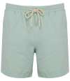 NS706 Native Spirit Swimming Shorts brook green colour image